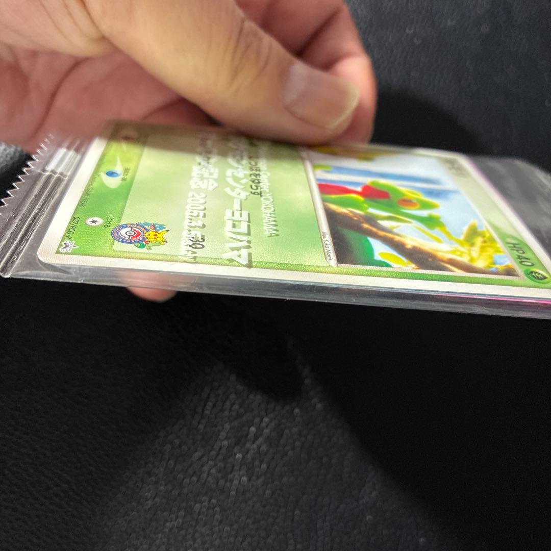 【希少】ポケモンカード キモリ ポケモンセンターヨコハマ プロモ 未開封