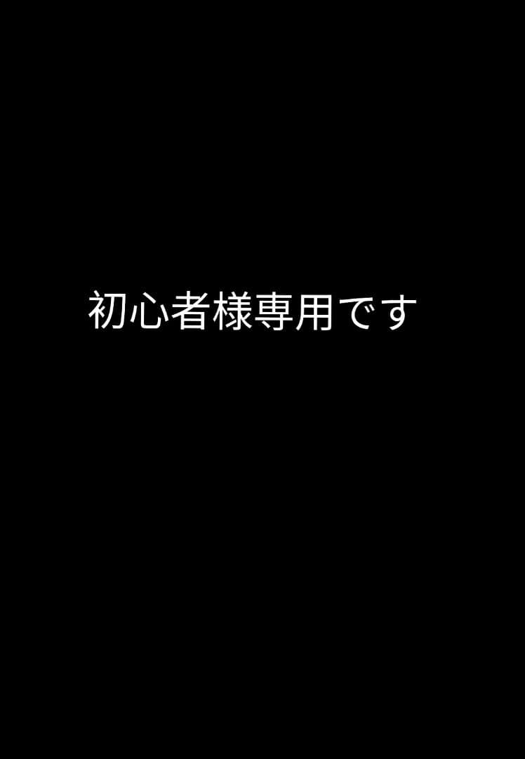 初心者です