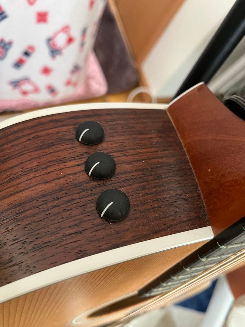 Taylor ギター 214ce Rosewood＋ケース
