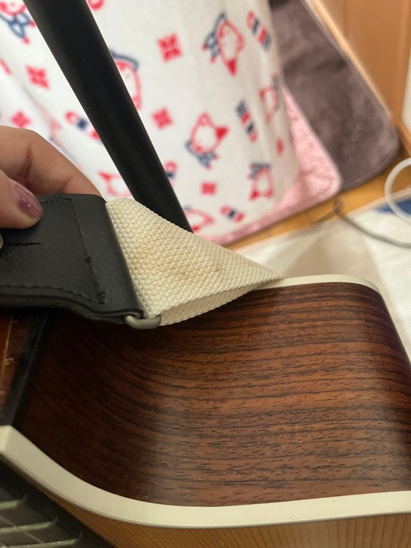 Taylor ギター 214ce Rosewood＋ケース