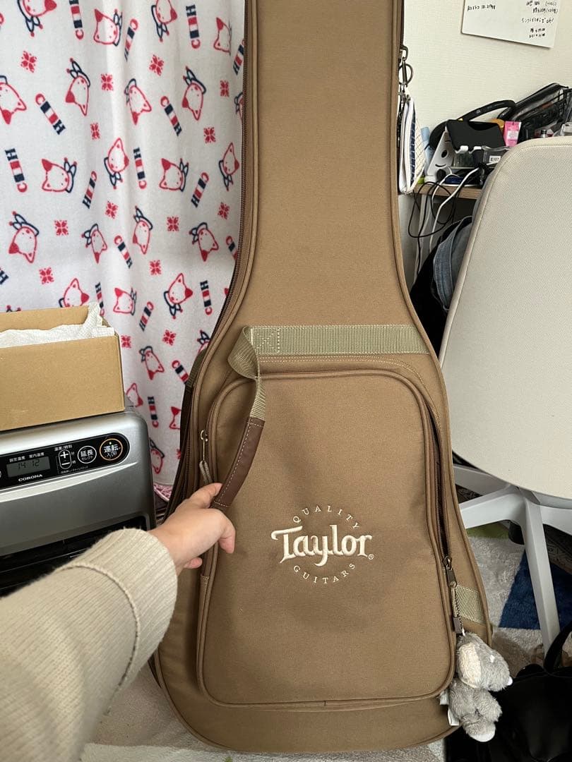 Taylor ギター 214ce Rosewood＋ケース