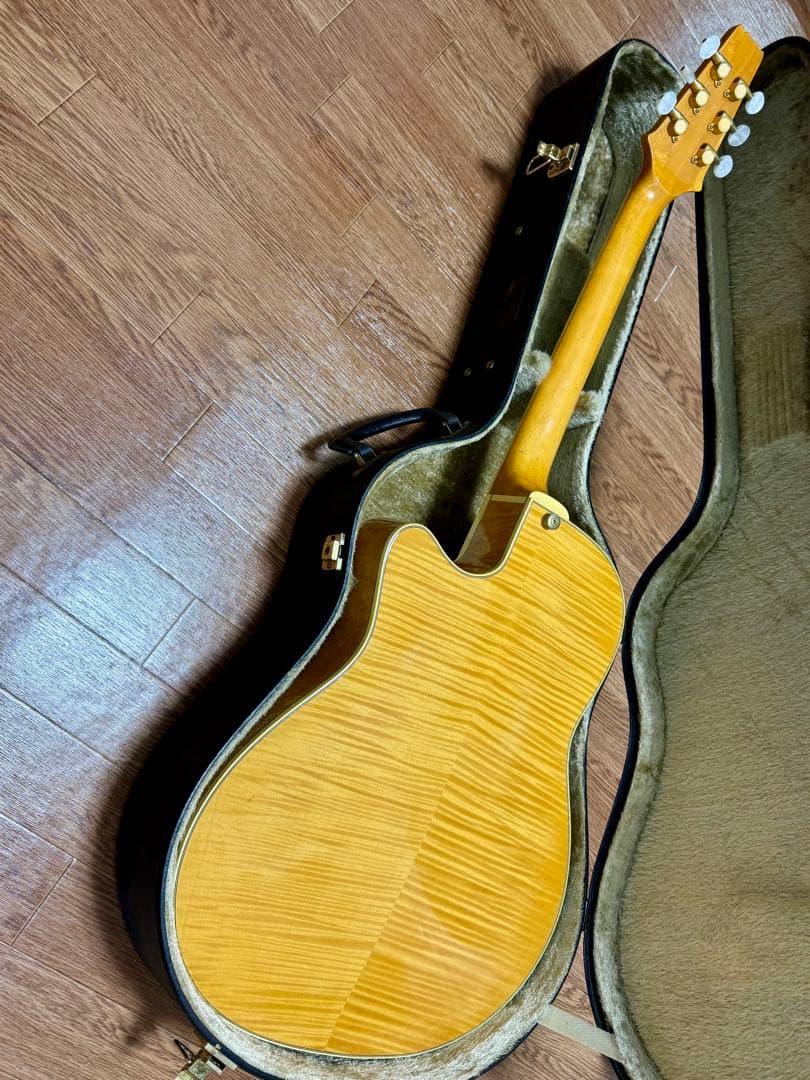 ギター Aria Elecord FEA-120