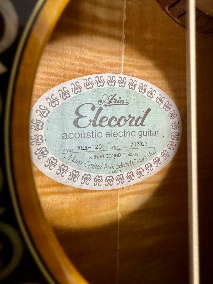 ギター Aria Elecord FEA-120