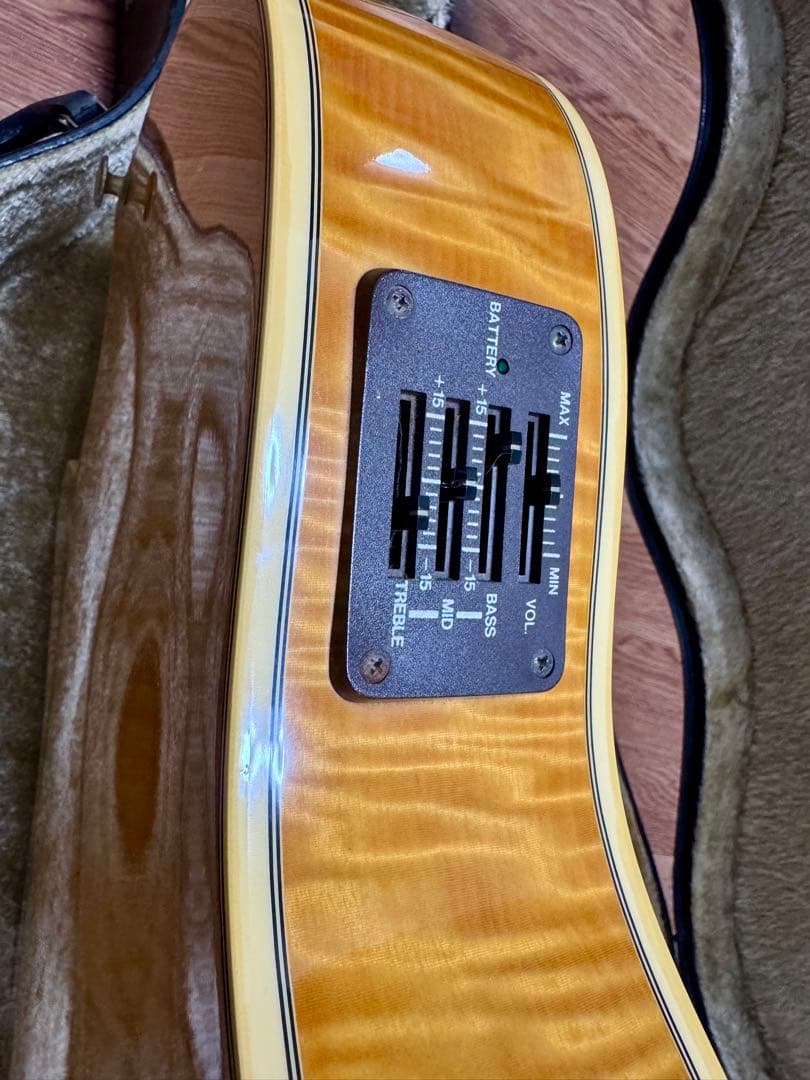 ギター Aria Elecord FEA-120