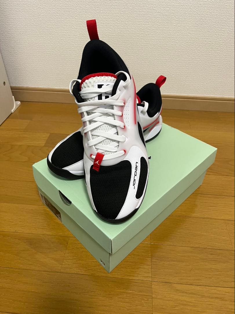 シューズ(男性用) JORDAN HEIR SERIES PF 10.5