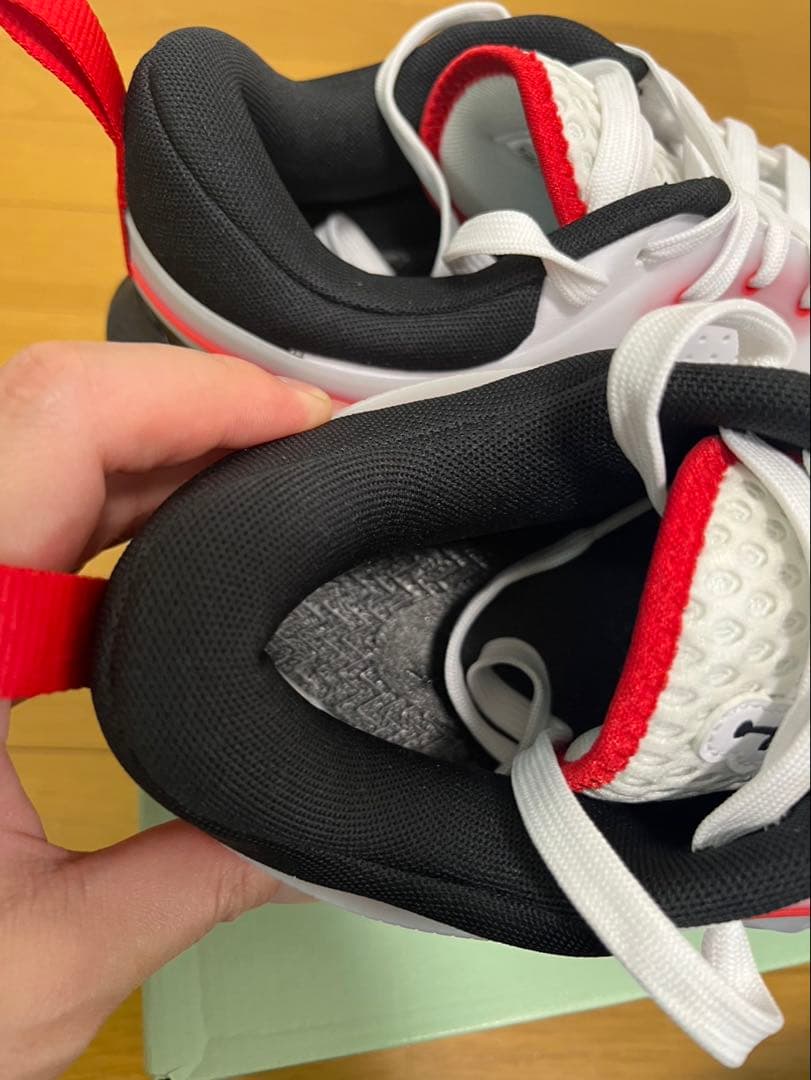 シューズ(男性用) JORDAN HEIR SERIES PF 10.5