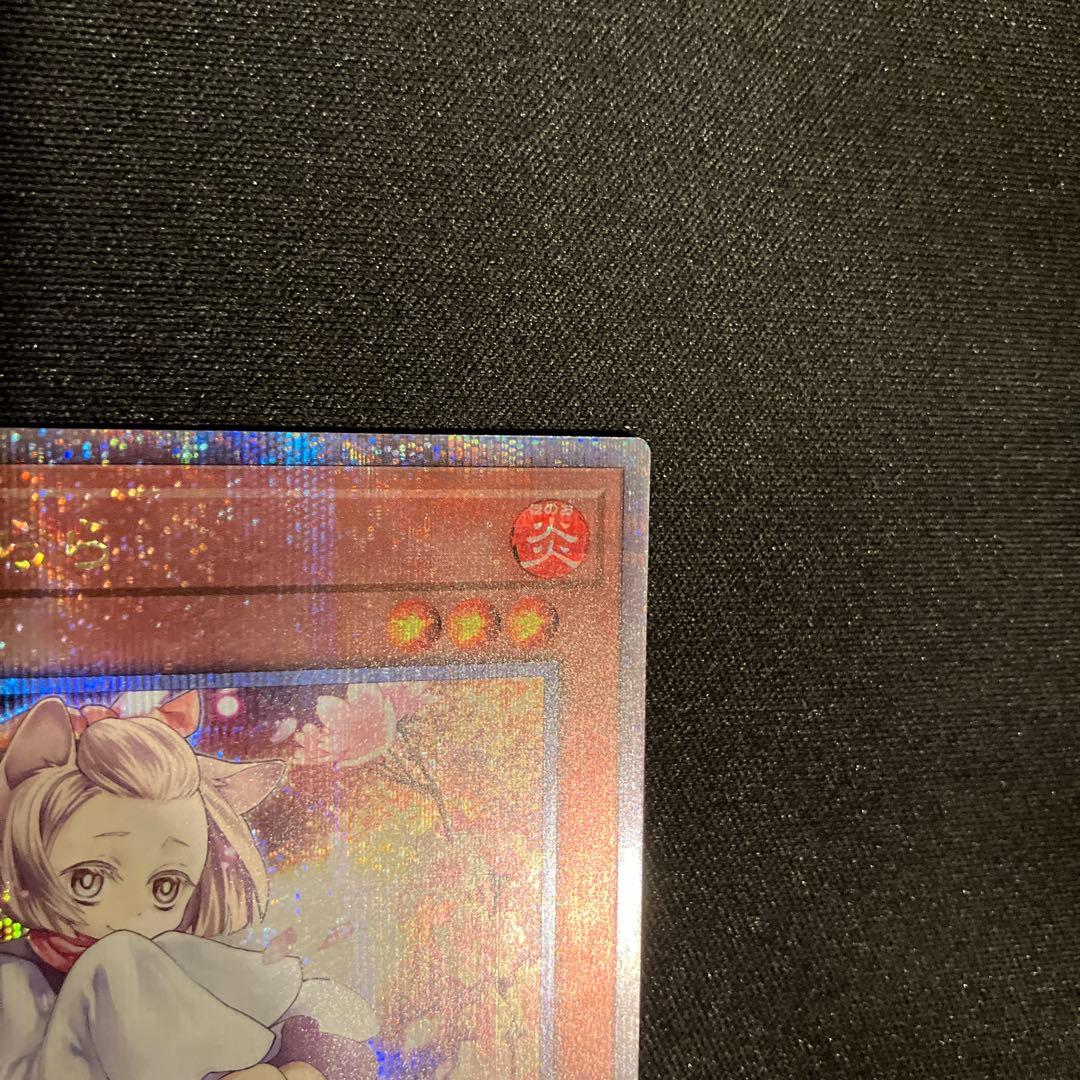 遊戯王カード　灰流うらら　絵違い　クオシク　QCAC-JP050