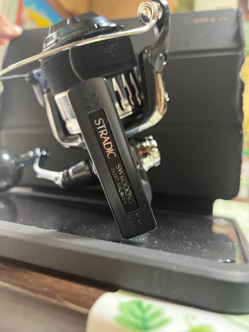 リール STRADIC SW 6000XG