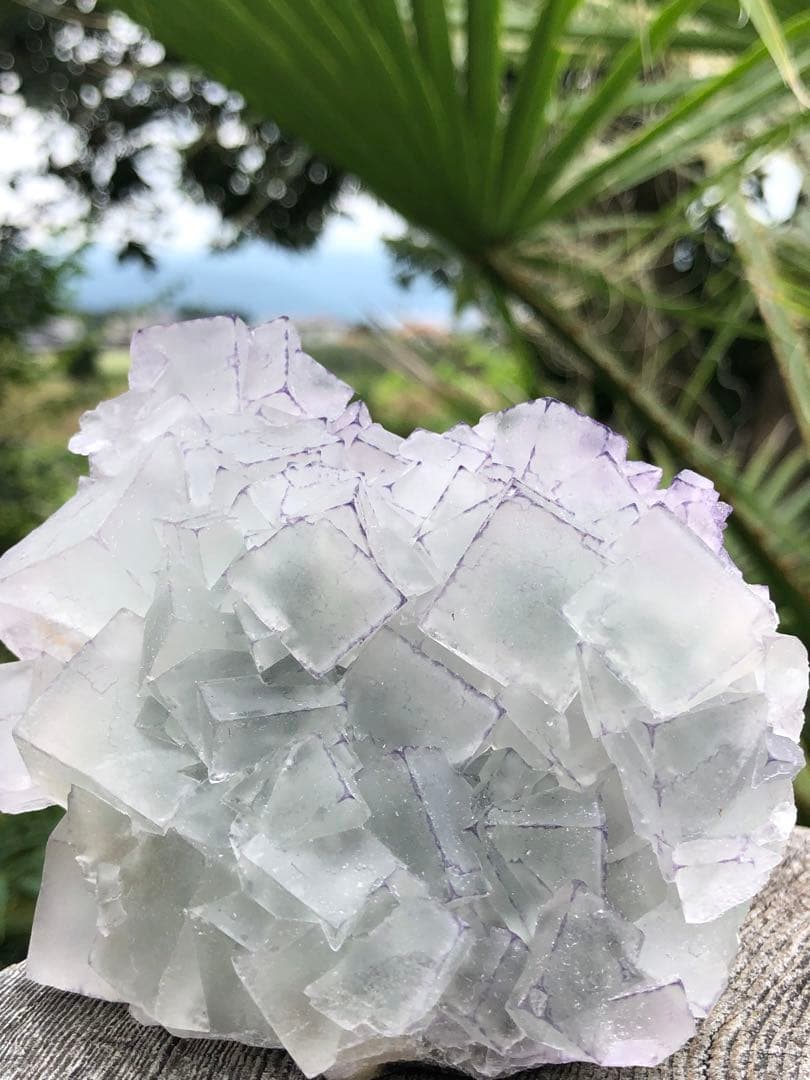 ❤️超レア　214g 綺麗　紫縁　グリーンフローライト　蛍石　クラスター