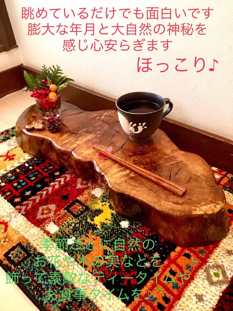 天然楢【神秘的な合体樹＊3本の木が一体化/森と大自然の切り株テーブル】ちゃぶ台