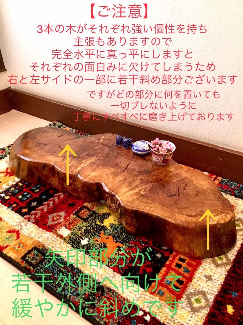天然楢【神秘的な合体樹＊3本の木が一体化/森と大自然の切り株テーブル】ちゃぶ台