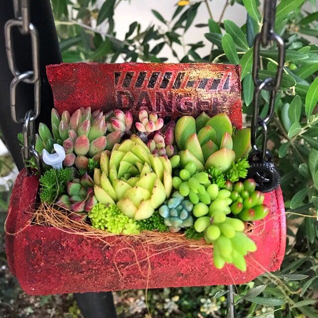 ★多肉植物　寄せ植え〜リメ缶チェーン寄せ〜★