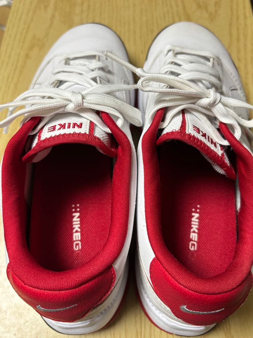 Nike ゴルフシューズ 25cm・Nikeシューズバッグセット