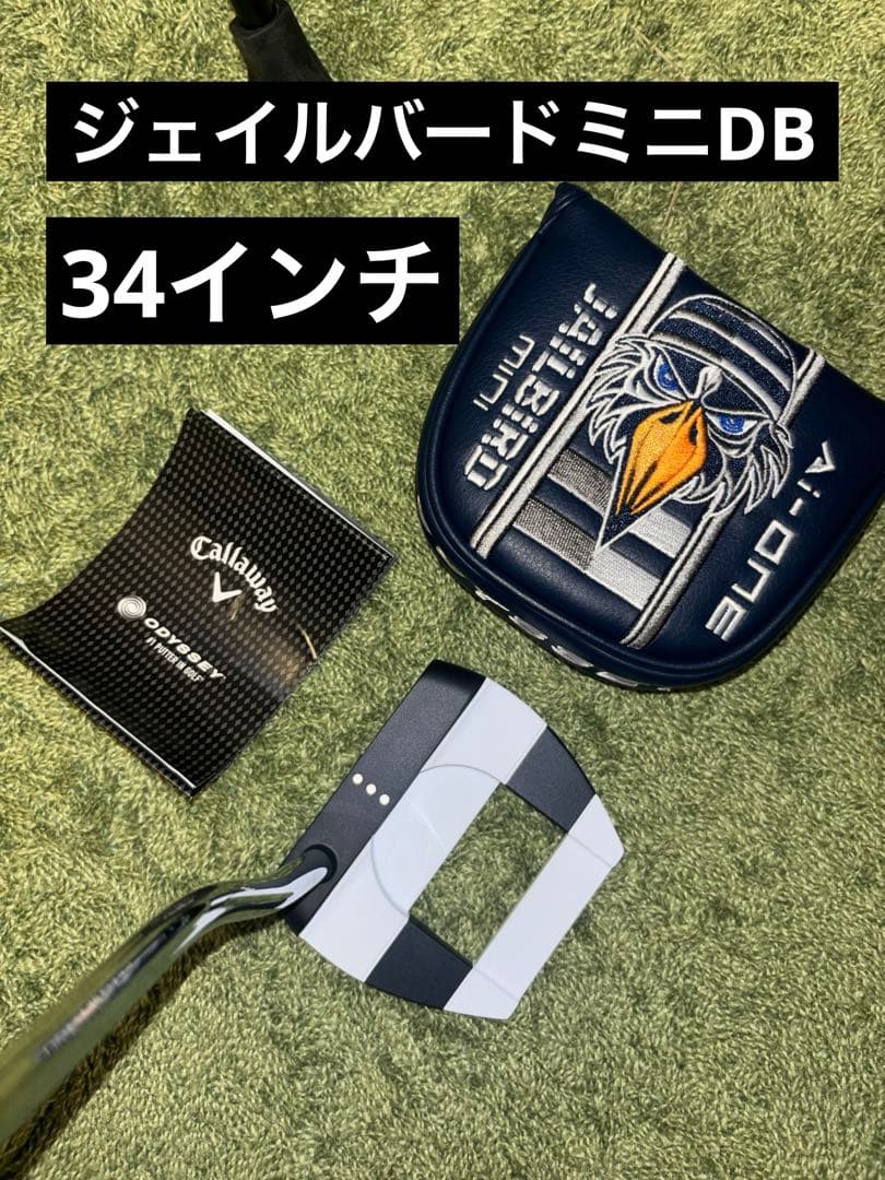 オデッセイ　ジェイルバードミニDB 34インチ