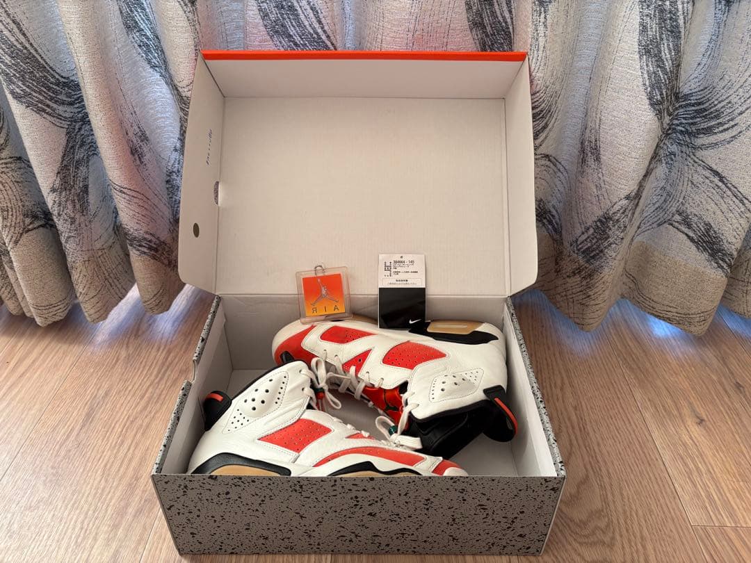Nike Air Jordan 6 ゲーターレード　ホワイト/オレンジ/ブラック