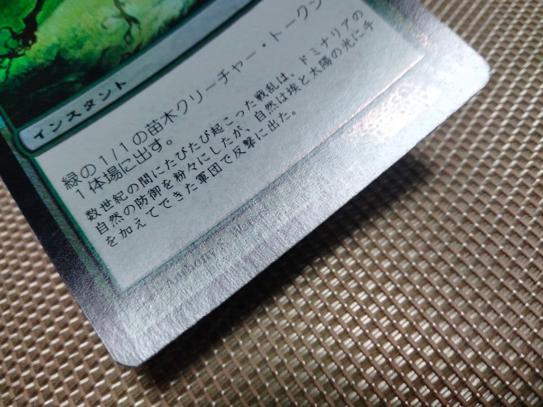 【ご確認用】時のらせん foil 芽吹きb 日本語 1枚　MTG