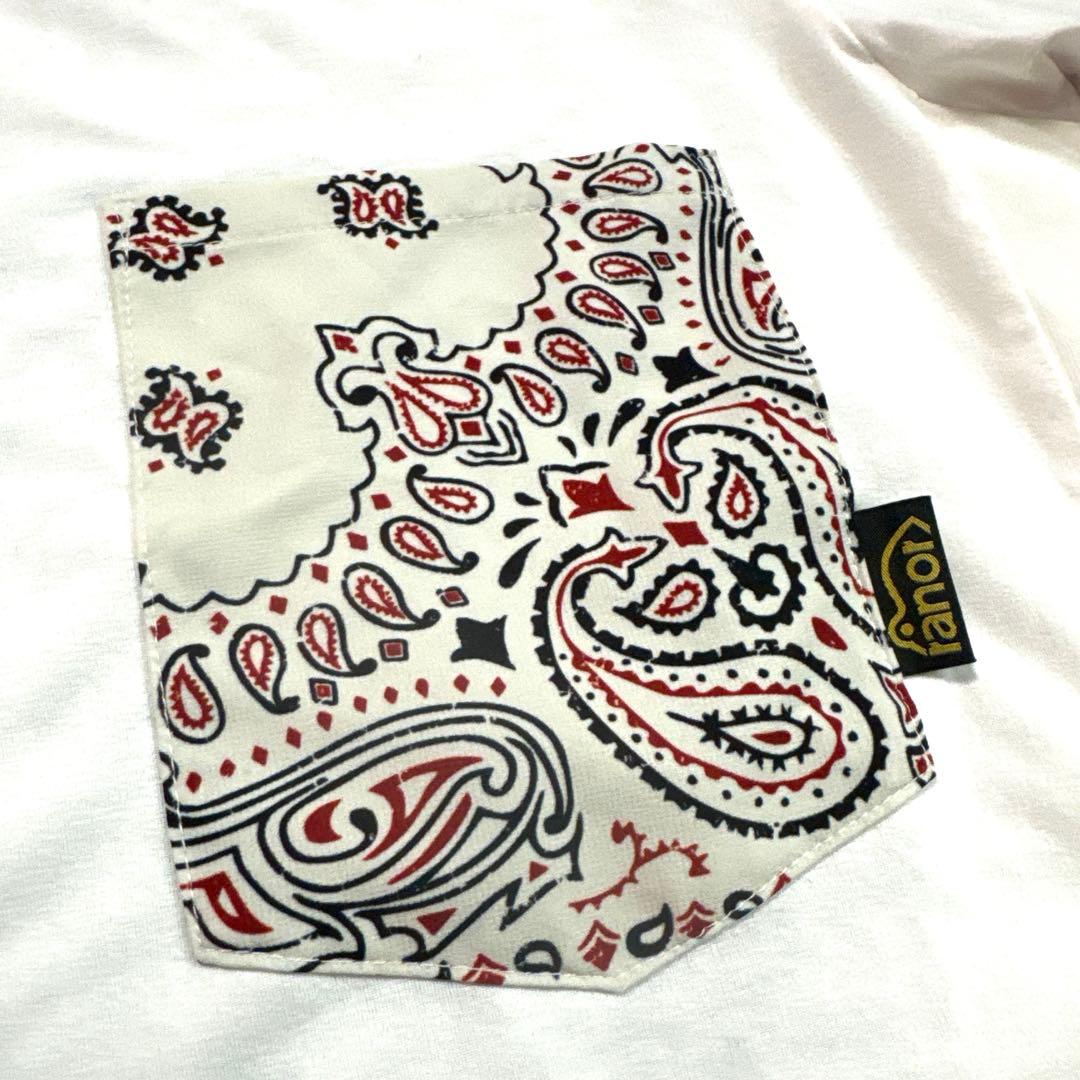ラナー ranor Tシャツ Mサイズ
