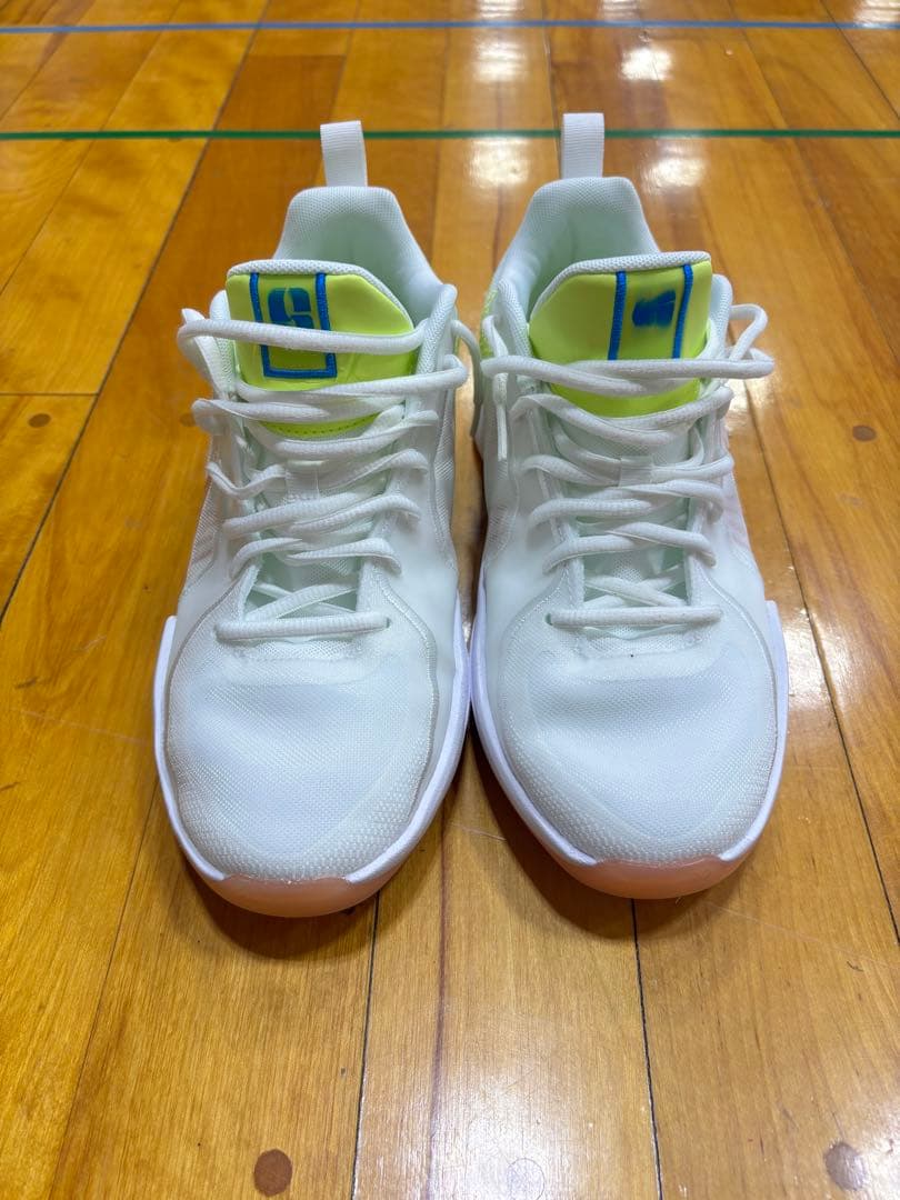シューズ(男性用) Nike SABRINA 2