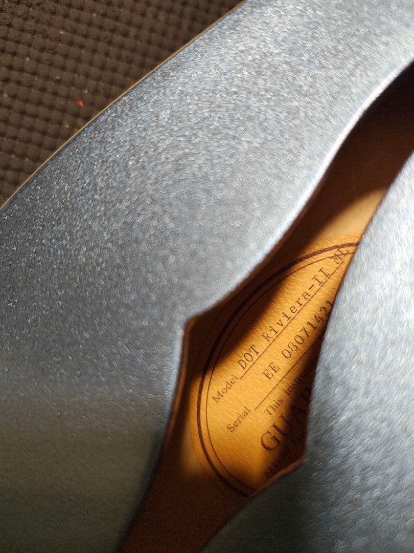 Epiphone Riviera-Ⅱ/美品ソフトケース付属