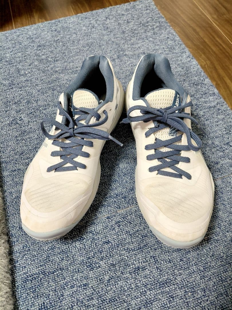スカイエリートff3 asics バレーボールシューズ 25.5
