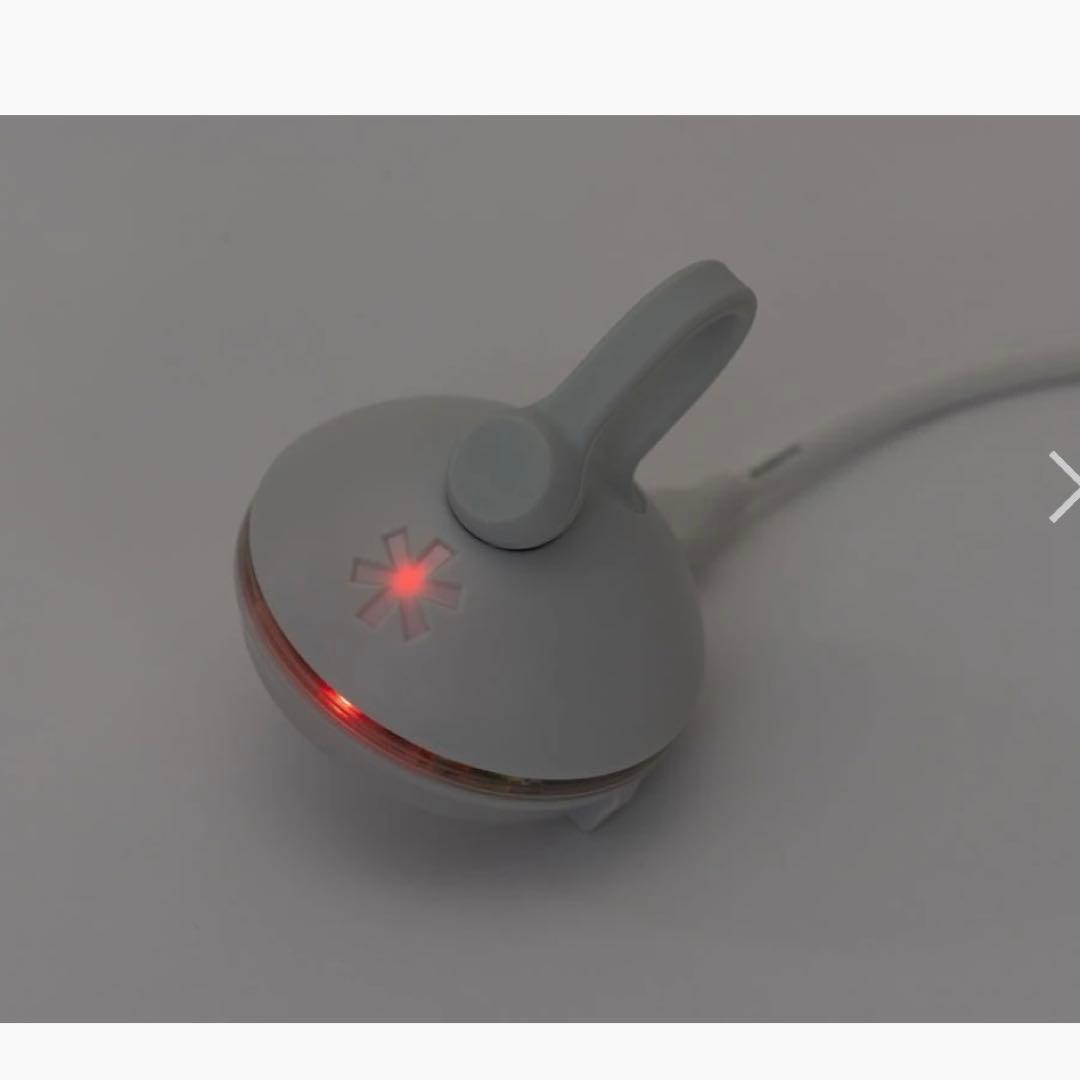 新品未開封スノーピーク　小型ランタン　たねほおずきあさもや