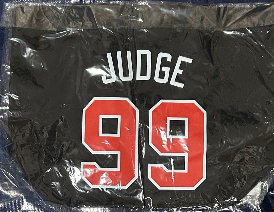 2026 WBC 米国代表 アーロン・ジャッジ キャンバストートバッグ