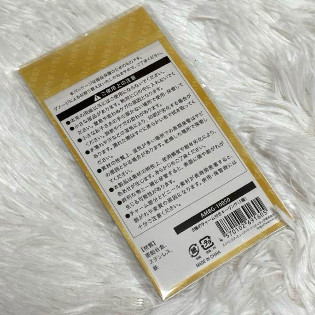 三代目 JSB 登坂広臣　ØMI ポスター/キーリング/ワッペン(ルーヴ) ３点