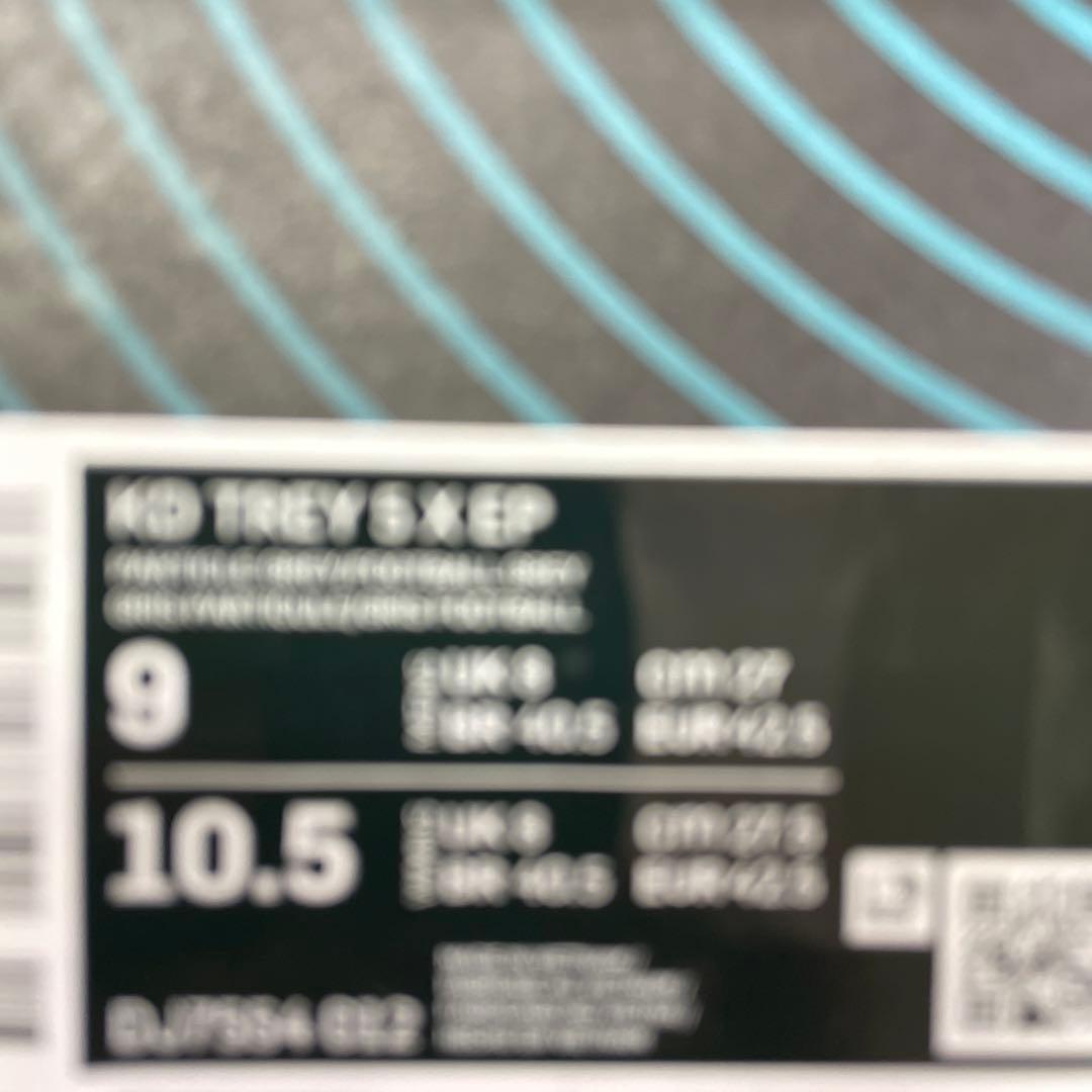 シューズ(男性用) NIKE KD TREY 5 X EP