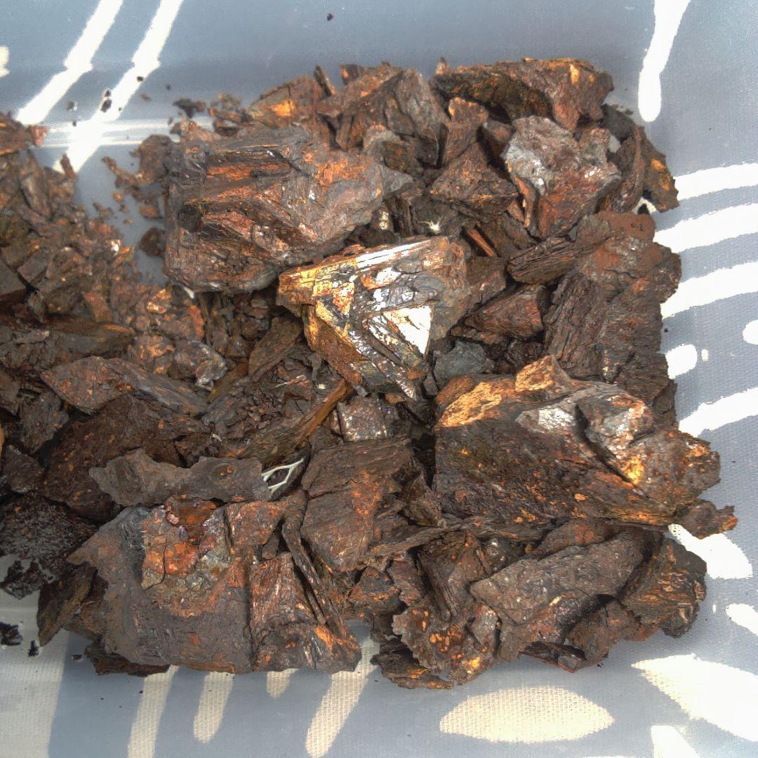 隕石 ？ Muonionalusta Meteorite もろいです。