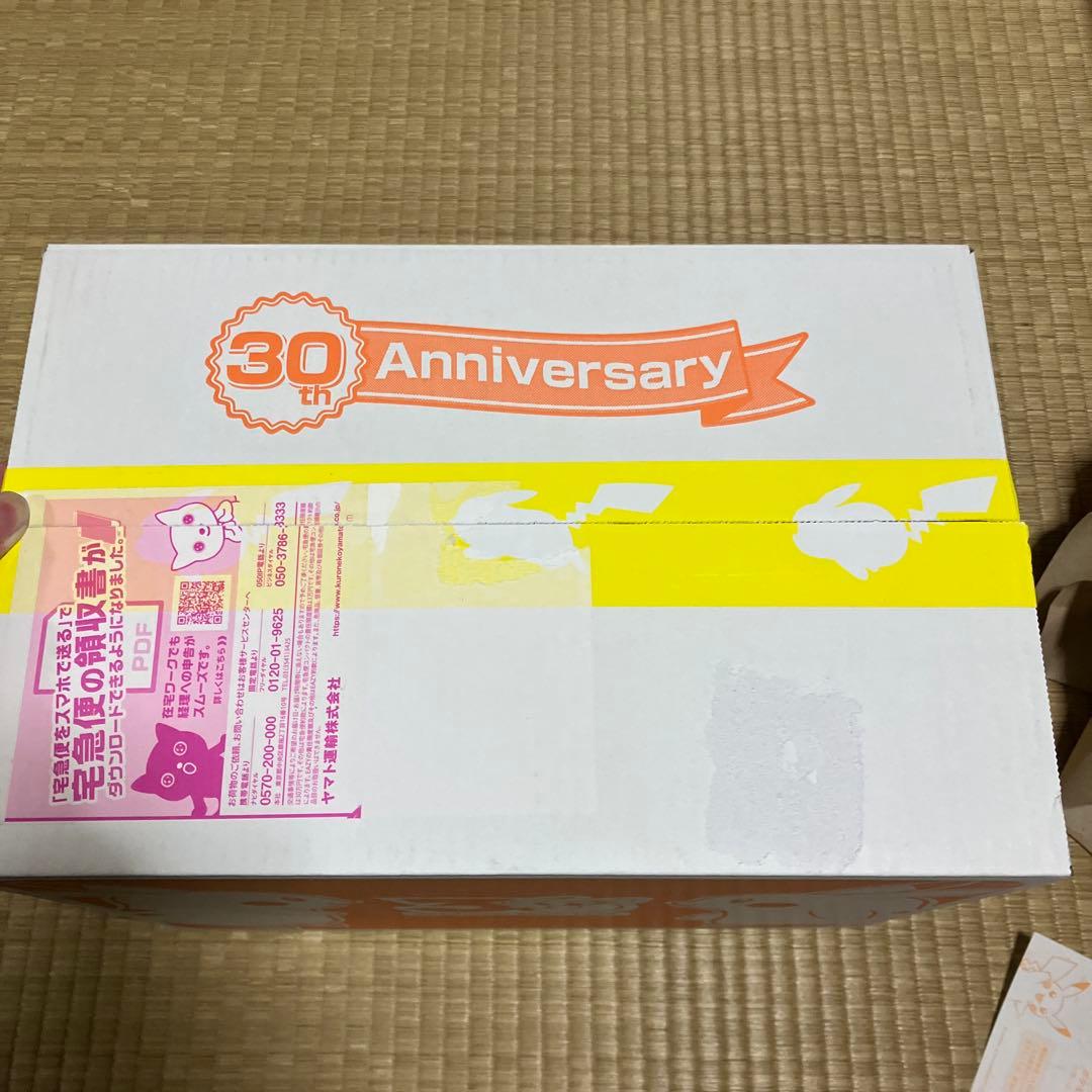 新品 2点セットはじまりのピカチュウ ぬいぐるみ+マスコット ポケモン
