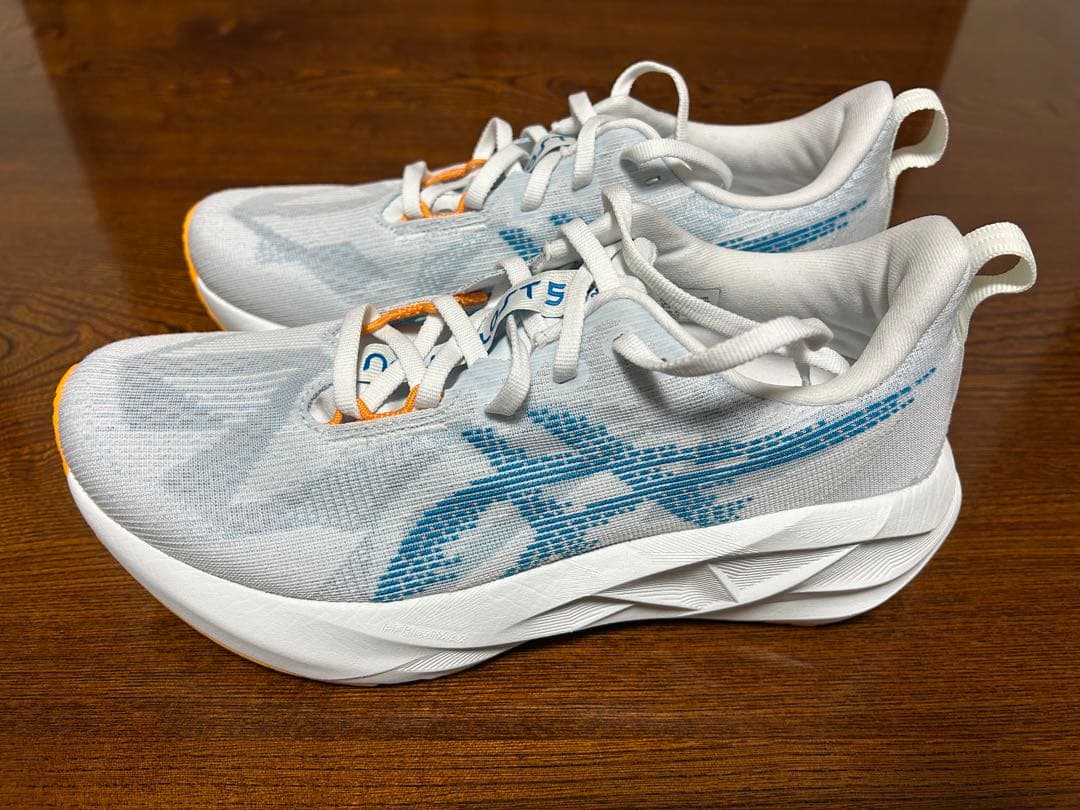 ASICS NOVABLAST アシックス ノヴァブラスト 5 25.0cm