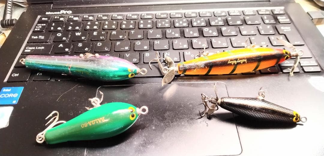 ルアー・フライ mots
