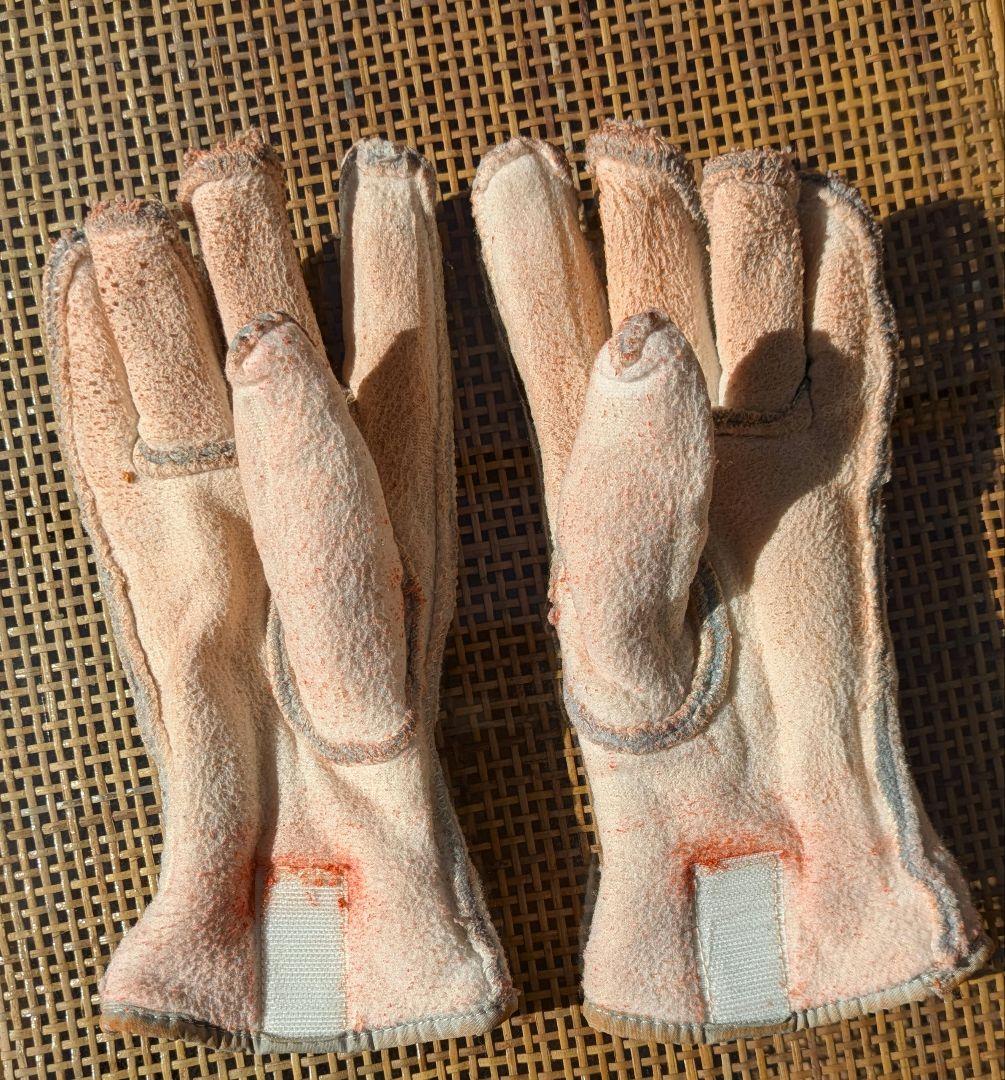 【現行カラー 美品】ヘストラ HESTRA グローブスリーフィンガー サイズ 5