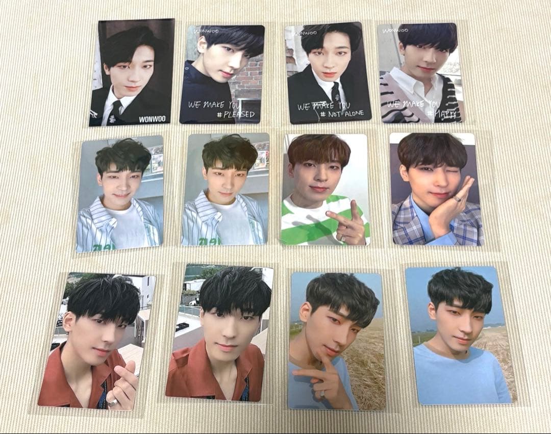 ウォヌ　トレカ　グッズ　まとめ売り　SEVENTEEN