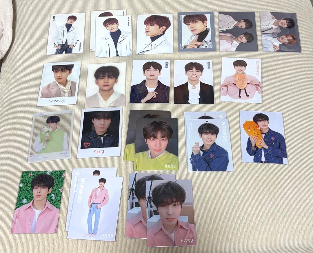 ウォヌ　トレカ　グッズ　まとめ売り　SEVENTEEN
