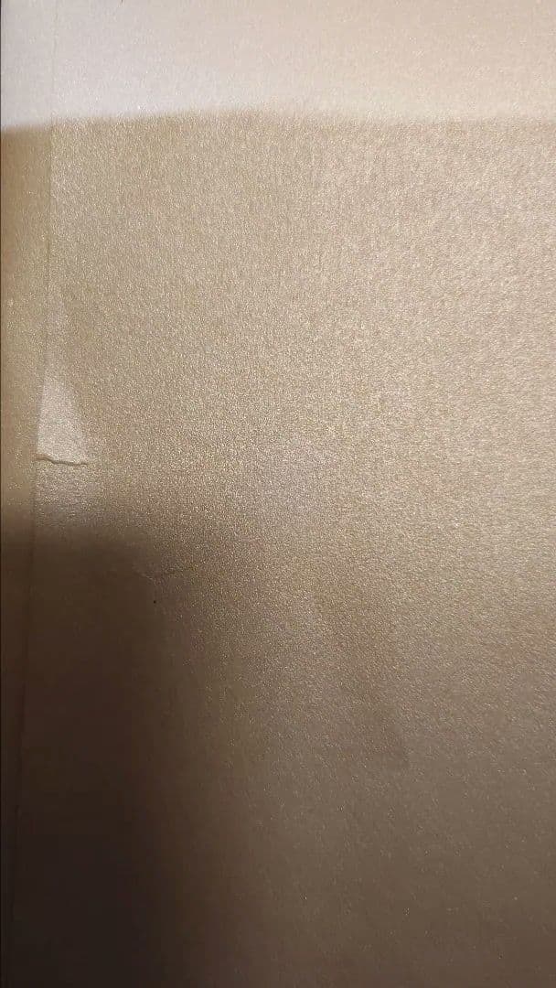 中野嘉之　オリジナルリトグラフ　日輪小禽