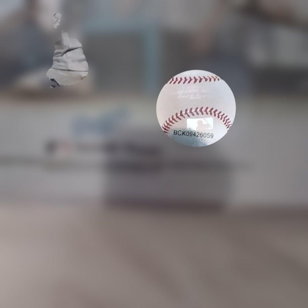 大谷翔平50/50達成フォト（写真立て付き）2024ワールドシリーズ記念ボール