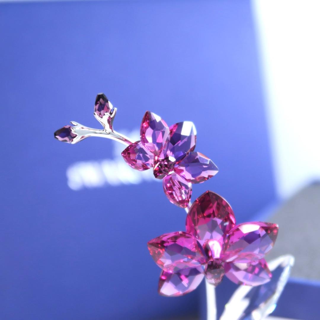 スワロフスキー Swarovski Flower Dreams オーキッド