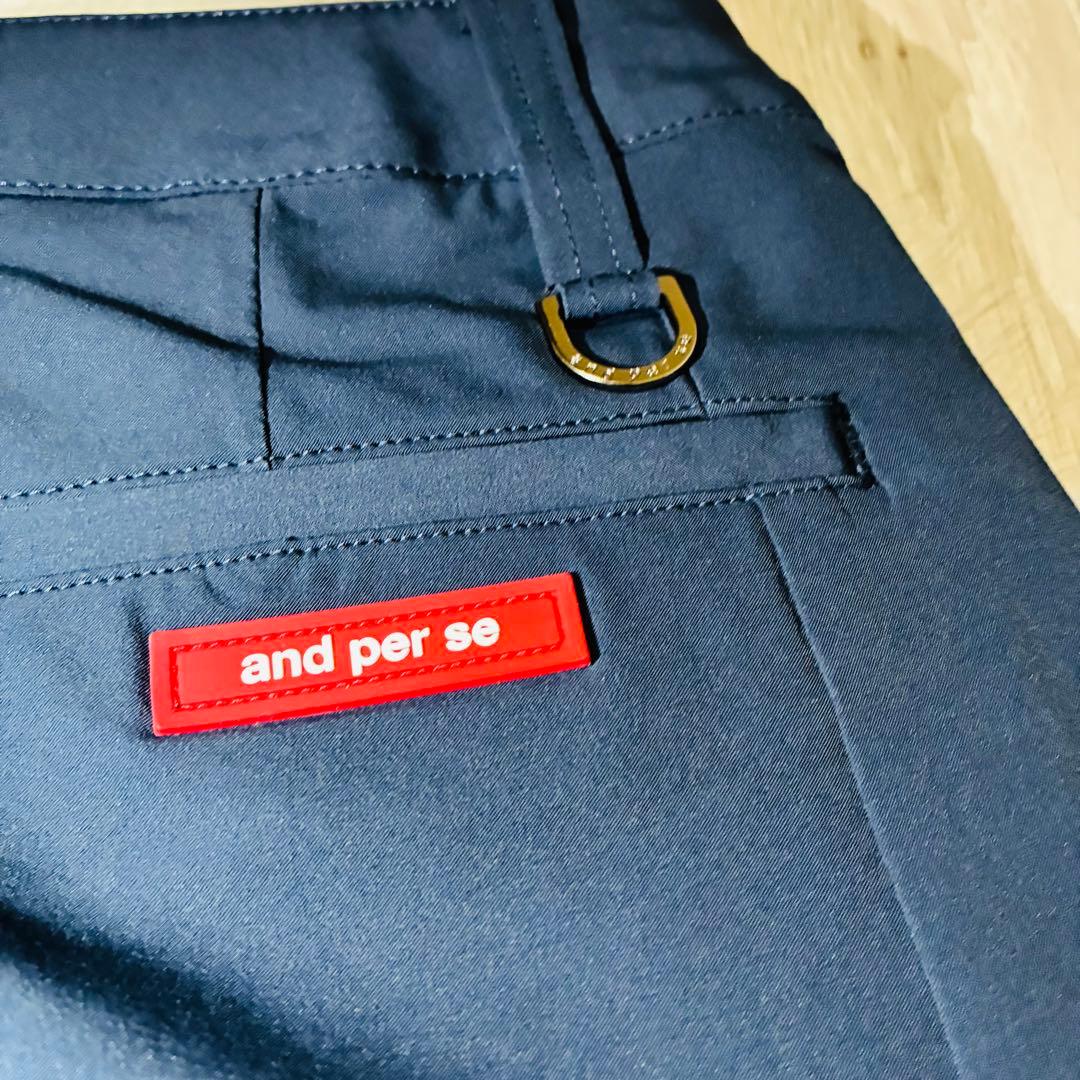 未使用級　and per se アンパスィ　変形　プリーツスカート　透け感無