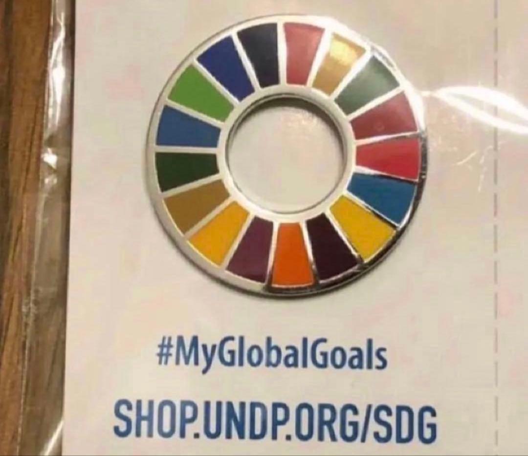SDGs 法人・団体向け　100個セット