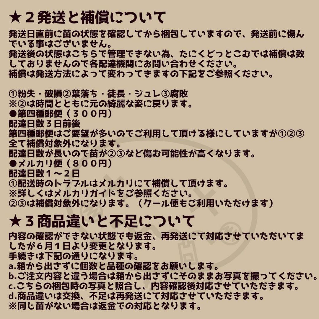 yuka様