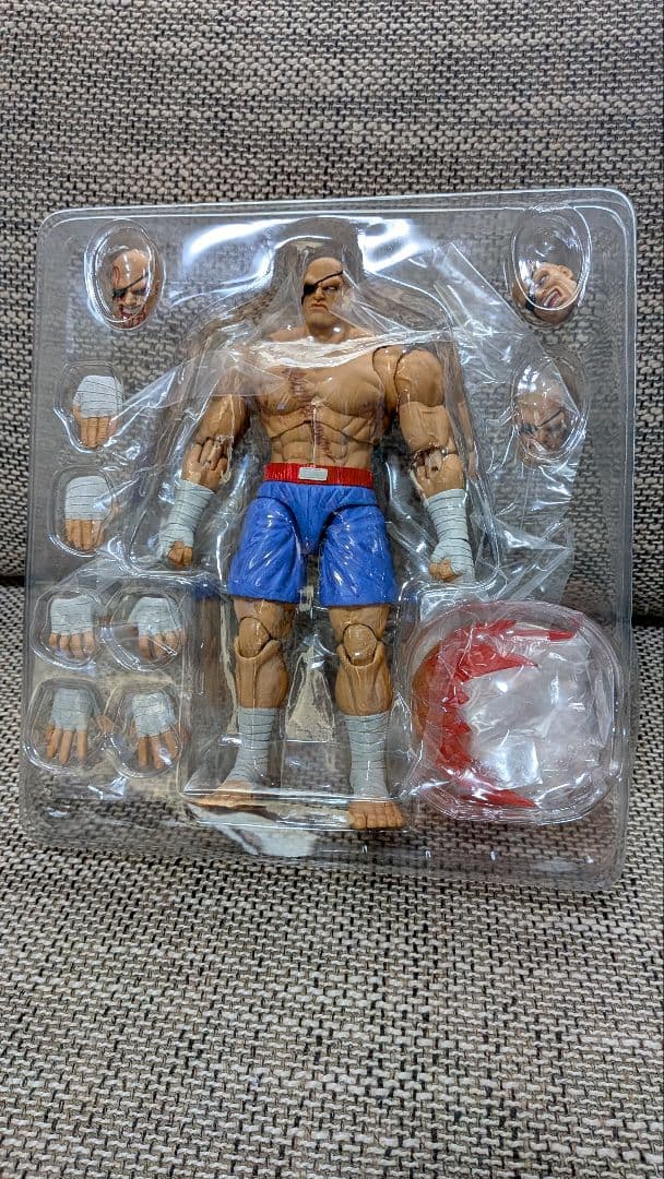 サガット　ストームコレクティブルズ　Storm Collectibles スト2