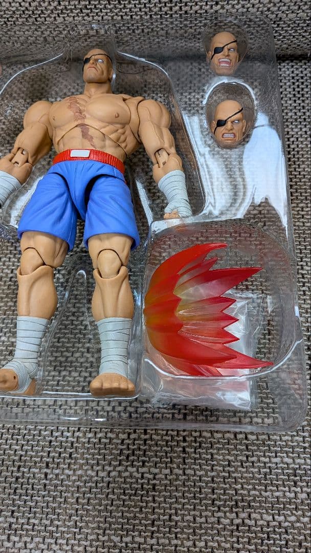 サガット　ストームコレクティブルズ　Storm Collectibles スト2