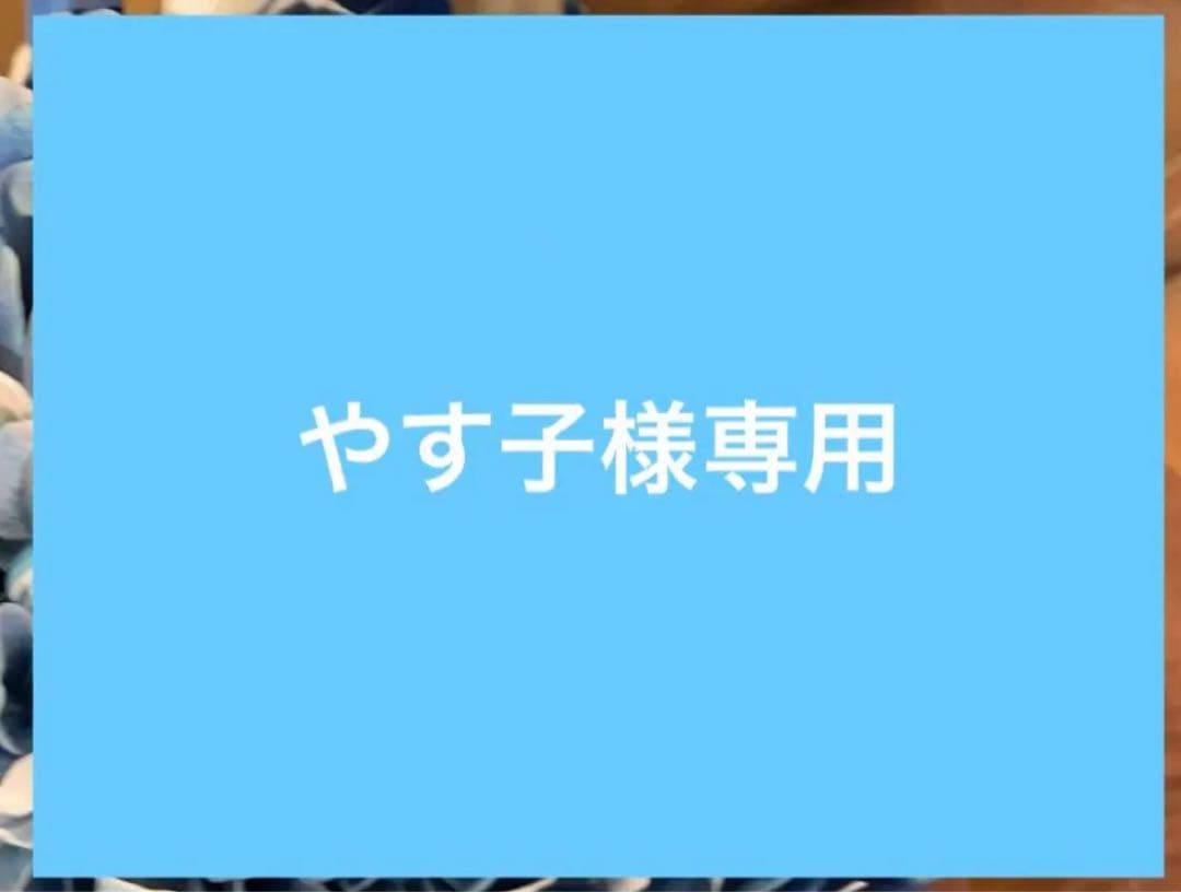 やす子ページ