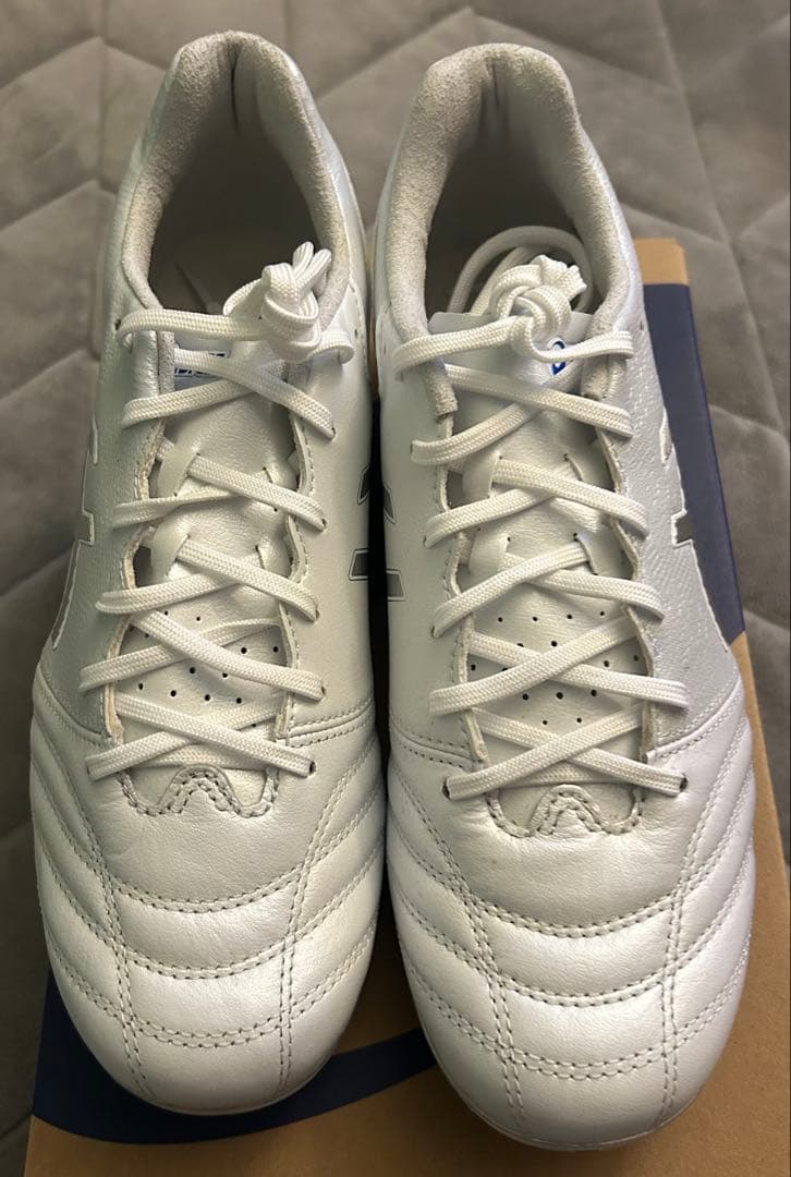 ASICS DS LIGHT PRO AG 25センチ