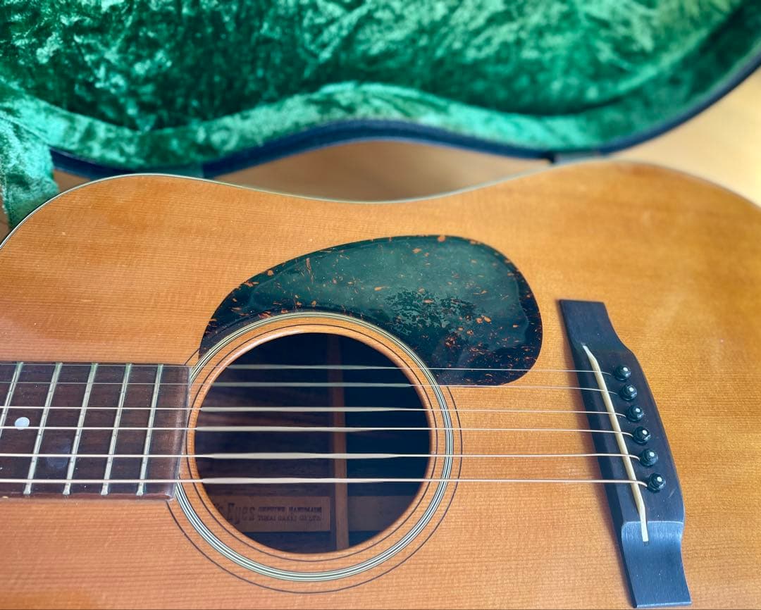 Cat's Eyes CE-700S（Martin D-21レプリカ）