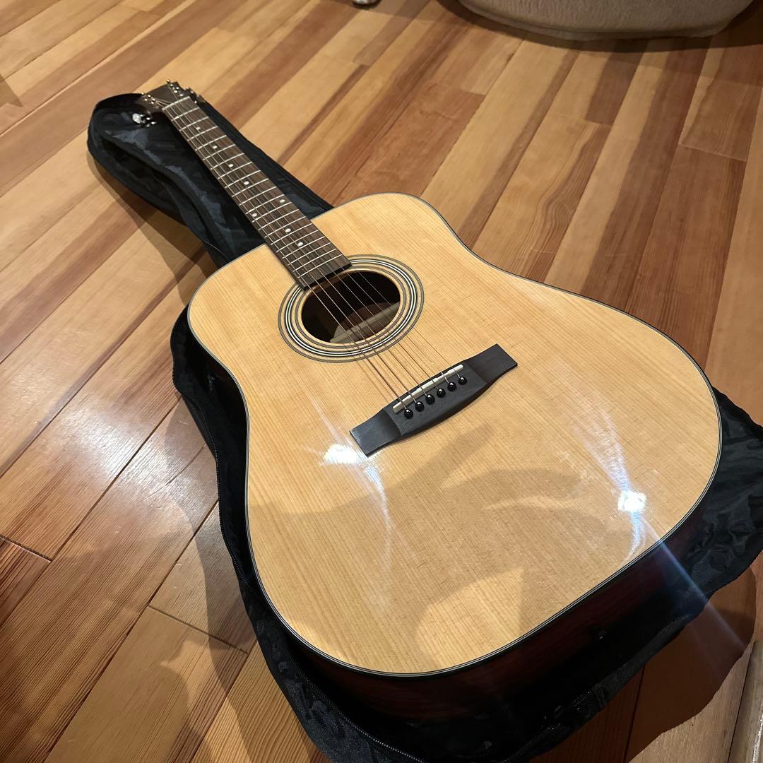初心者向け！アコギAria Dreadnought ケース付き