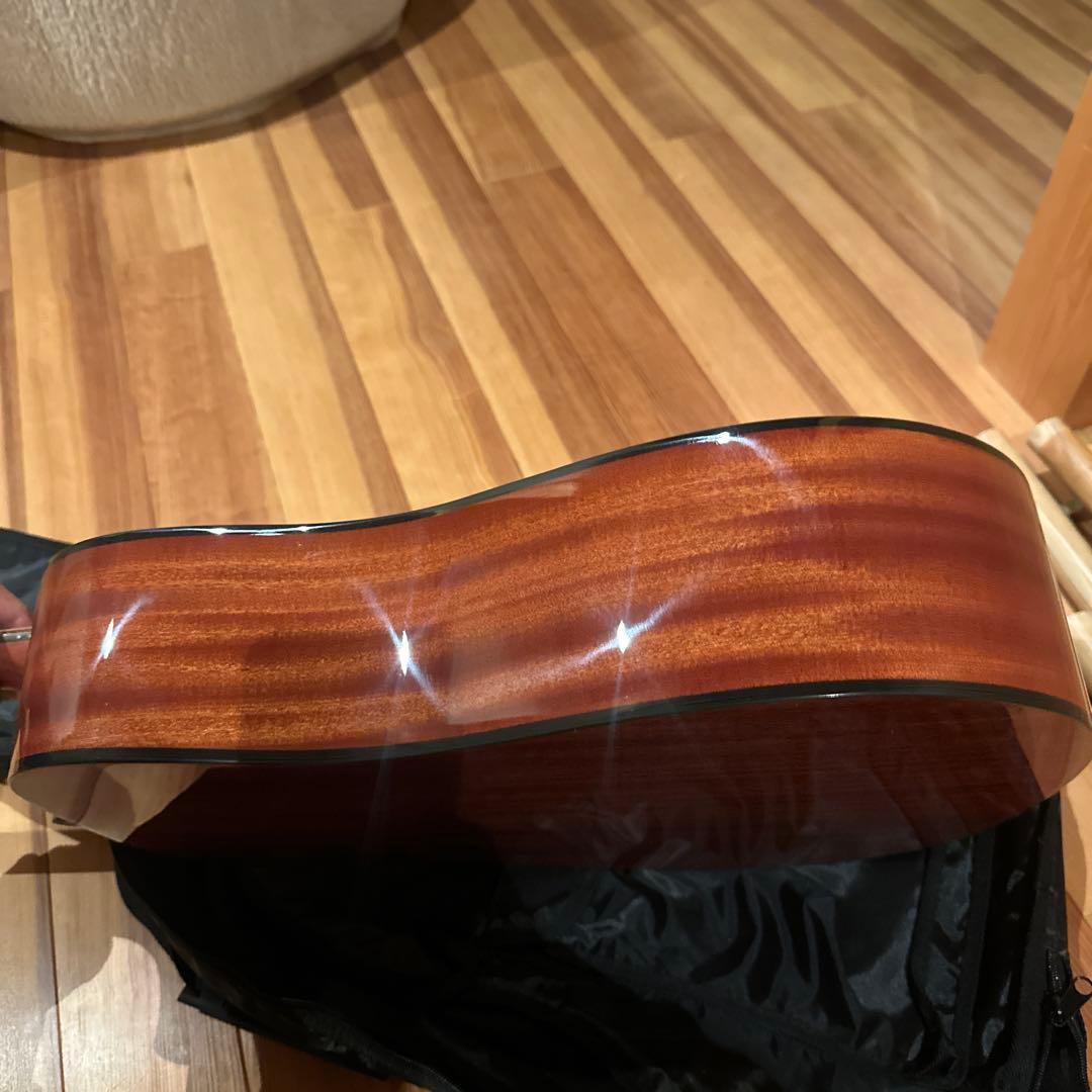 初心者向け！アコギAria Dreadnought ケース付き