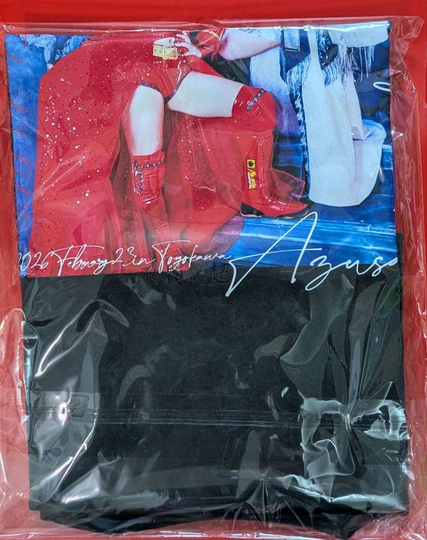 稲葉姉妹 凱旋記念 Tシャツ XXL　稲葉あずさ　稲葉ともか　スターダム　JTO