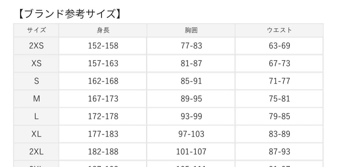 2024 アルゼンチン代表 (A) オーセンティック ユニフォーム XL